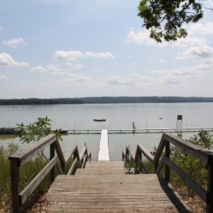 Beautiful image of wooden steps leading down to a lake under a sunny sky.