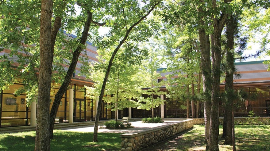 A quiet, tree-filled courtyard