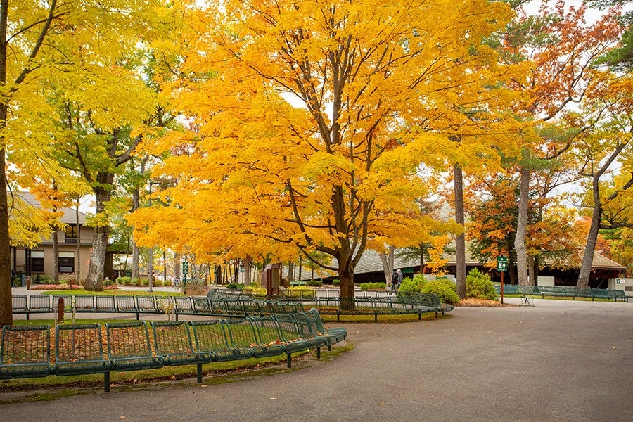 The Interlochen campus on a beautiful fall day
