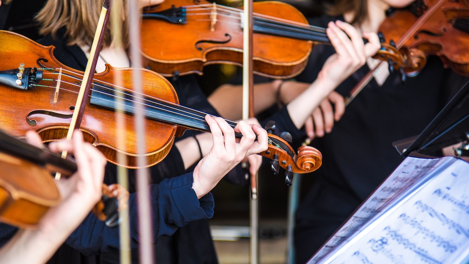 People playing in a string orchestra