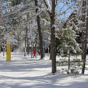 winter campus scenic interlochen center for the arts